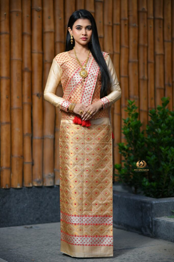 Stylishly dressed girl wearing a saree.